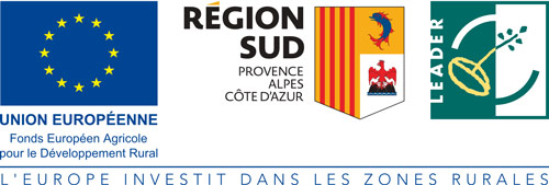 Programme Leader Union Européenne